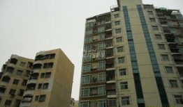 和平花园爆料最新消息,揭秘神秘事件背后的真相