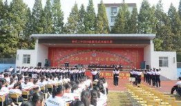 钟祥三中最新爆料,揭秘校园风云背后的真相