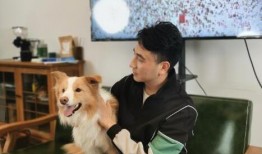 林生斌最新爆料泡沫尿,泡沫尿事件背后的惊人真相