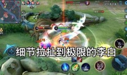 流萤技能爆料最新视频,神秘力量助战，视频揭秘一触即发！