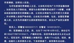 河北唐县爆料案件最新情况,案情升级，警方全力侦破
