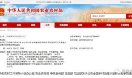 石头镇最新爆料信息网,揭秘神秘事件背后的真相