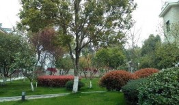 浙江违建爆料最新消息,多起违建项目被查处，整治行动持续进行