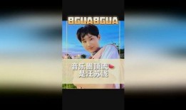 刘大锤最新爆料汪苏泷直播,揭秘明星直播背后的故事