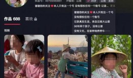 娄底抖音爆料事件最新,真相揭开，网络暴力背后的惊人内幕