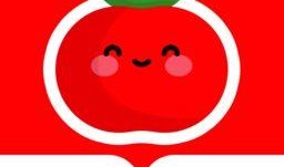 番茄小说最新爆料,揭秘热门IP背后的创作秘密与幕后故事