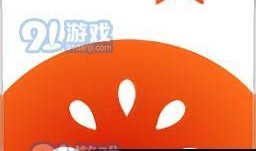 番茄小说最新爆料,揭秘热门IP背后的创作秘密与幕后故事